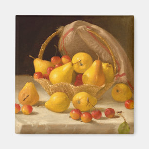 Íman Soquete de Peras e Maçãs