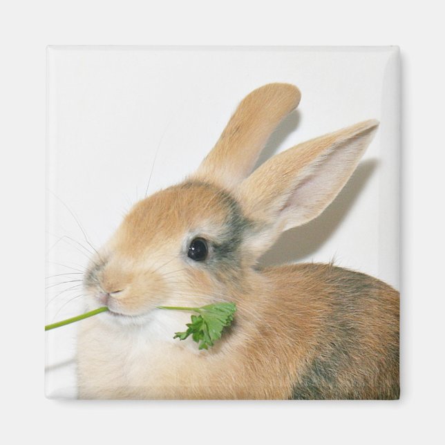 Íman Sorria quando você come isso (Frente)