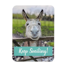 Sorrindo o ímã "Continue sorrindo" de Donkey