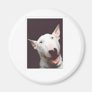 Íman sorriso da intimidação
