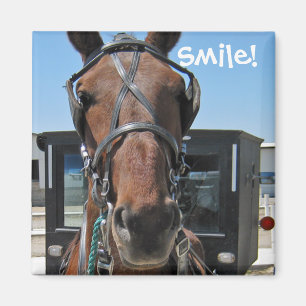 Íman Sorriso de Amish; o)