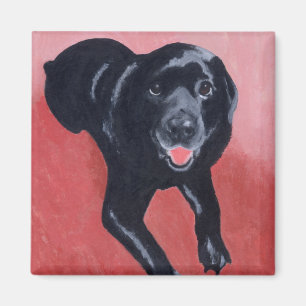 Íman Sorriso preto de Labrador