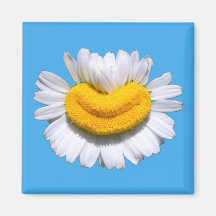 Sorriso Radiante de Camomila Feliz 