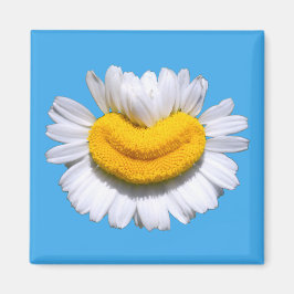 Íman Sorriso Radiante de Camomila Feliz 