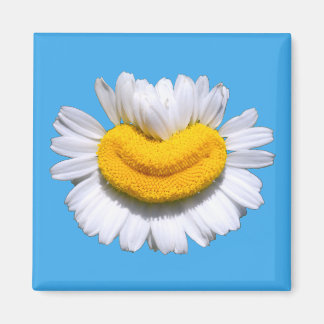 Íman Sorriso Radiante de Camomila Feliz 