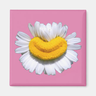 Íman Sorriso Radiante de Camomila Feliz 