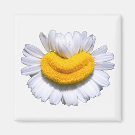 Íman Sorriso Radiante de Camomila Feliz 