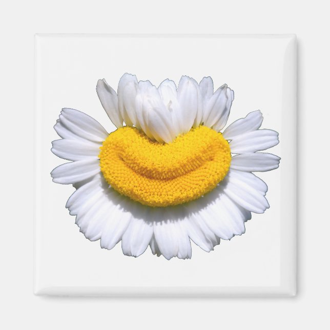 Íman Sorriso Radiante de Camomila Feliz  (Frente)