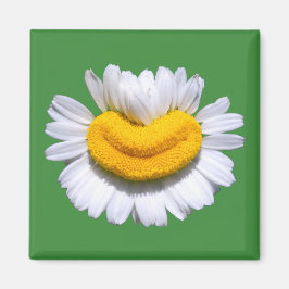 Íman Sorriso Radiante de Camomila Feliz 