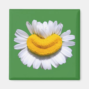 Íman Sorriso Radiante de Camomila Feliz