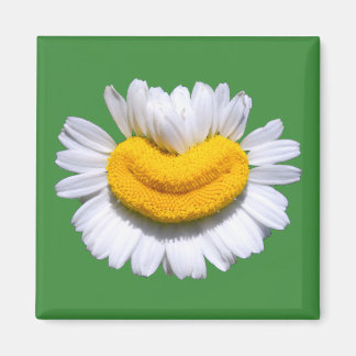Íman Sorriso Radiante de Camomila Feliz 
