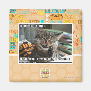 Íman sorrisos do gato do vampiro