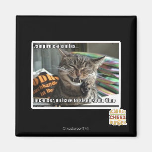 Íman sorrisos do gato do vampiro