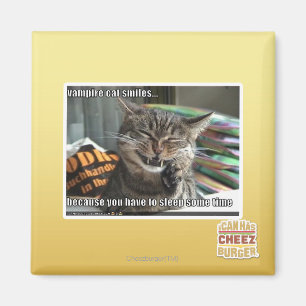 Íman sorrisos do gato do vampiro