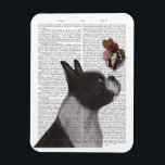 Íman Sorvete de Boston Terrier<br><div class="desc">Sorvete de Boston Terrier pela FabFunky. Apresenta um sorvete de equilíbrio "Boston Terrier" no nariz contra o fundo de uma página de livro. | 191979D</div>