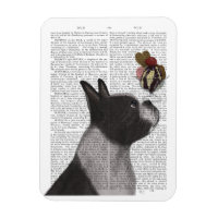 Sorvete de Boston Terrier