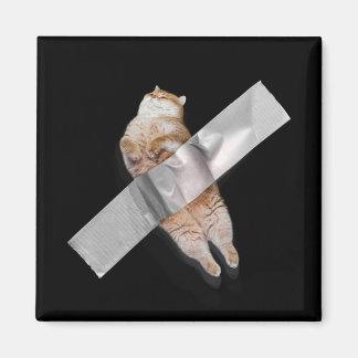 Íman Sou a melhor banana!