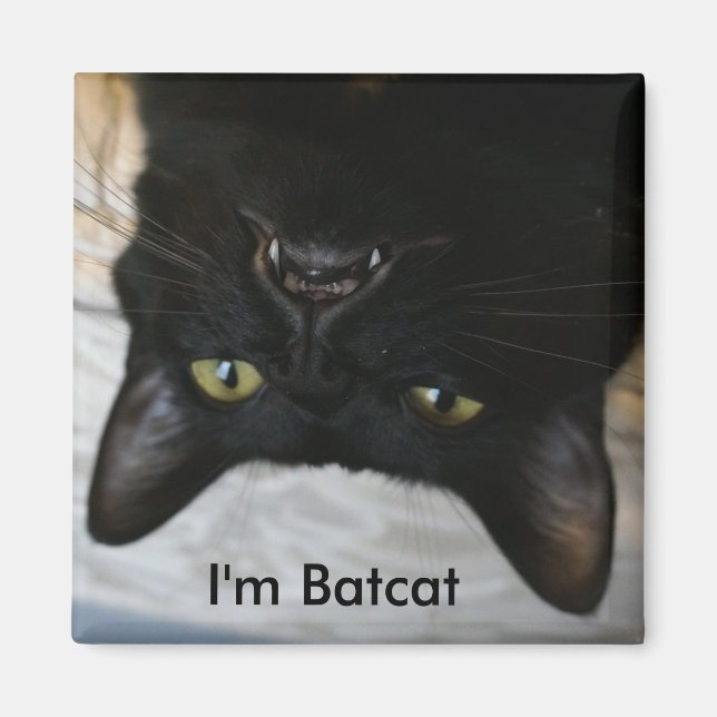 Íman Sou o imã Batcat (Frente)