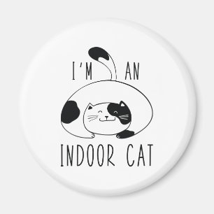 Íman Sou um gato ao ar livre