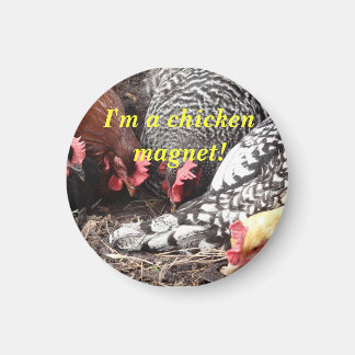 Íman "Sou um Magneta de Frango!"