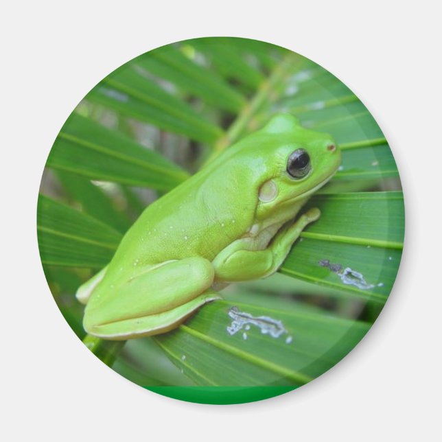 Íman Sou Verde (Frente)