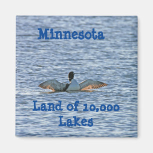 Íman Souvenir de Minnesota