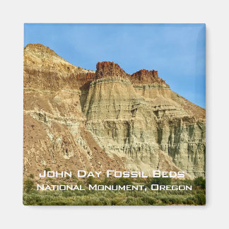 Íman Souvenir Magnet: Camas Fósseis do Dia do John, OU