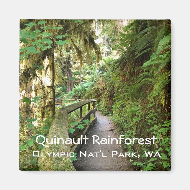 Íman Souvenir Magnet — Quinault RainForest, Olimpiadas  (Frente)