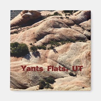 Íman Souvenir Magnet: Yants Apartamentos, Ruas. George,