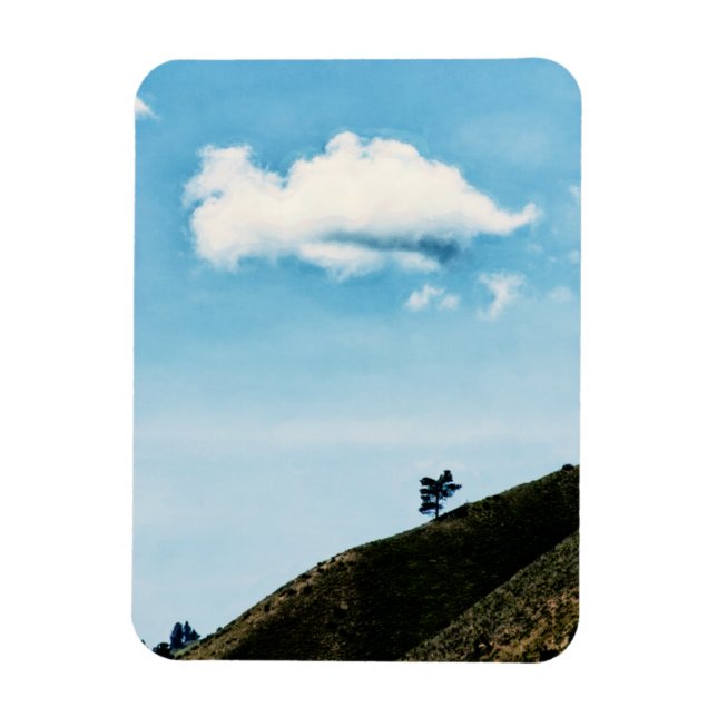 Íman Sozinha (Vertical)