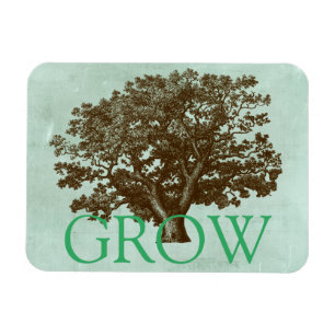 Íman Spa Tree IV