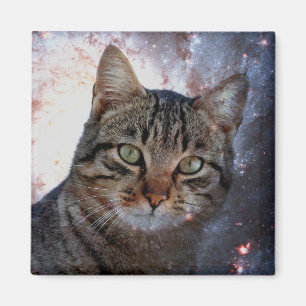 Íman Space Cat
