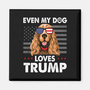 Íman Spaniel Até Meu Cachorro Adora Trump Engraçado