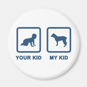 Íman Spaniel de Boykin