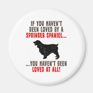 Íman Spaniel de Springer inglês