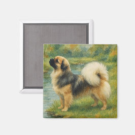Íman Spaniel Tibetano