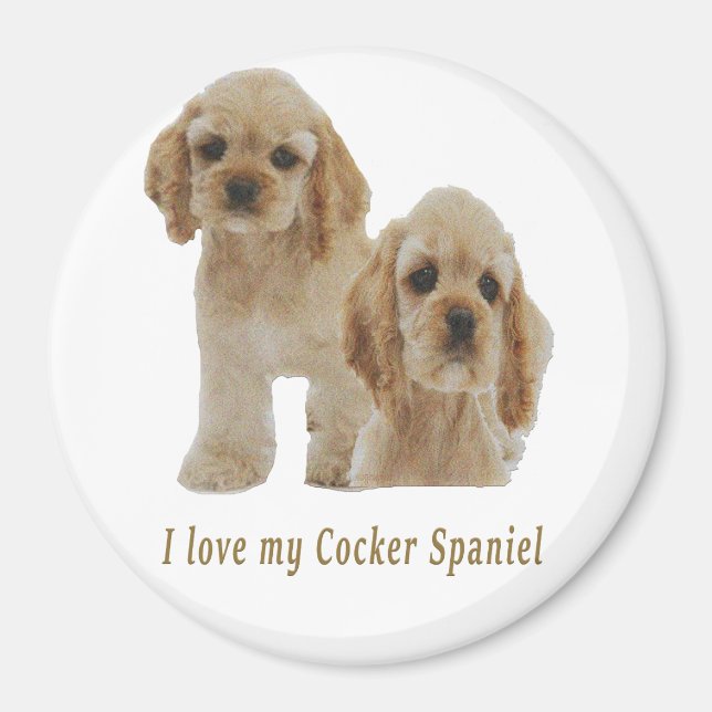 Íman spaniels de cocker (Frente)