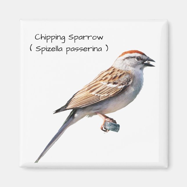 Íman Sparrow de chipset (Frente)