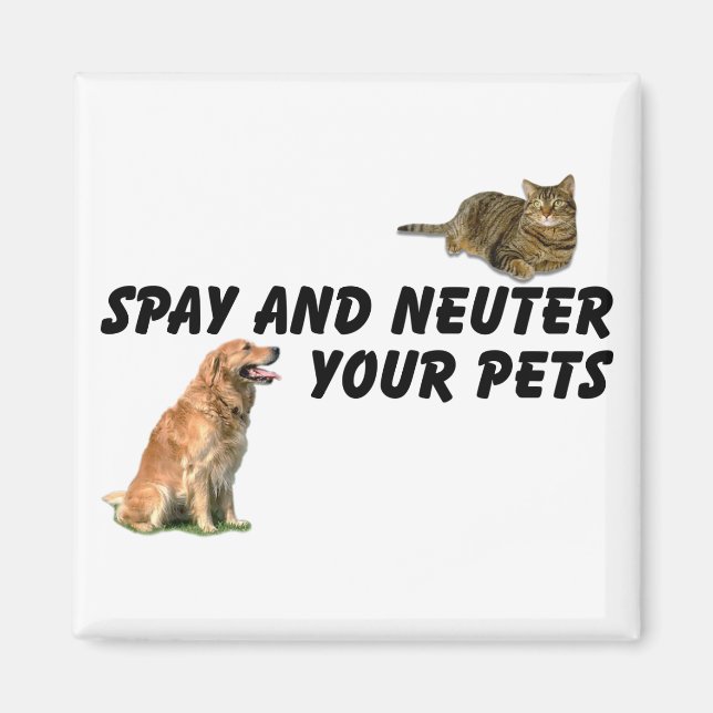 Íman Spay e Neuter (Frente)