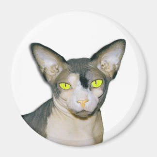 Íman Sphynx Cat Ninja White Round