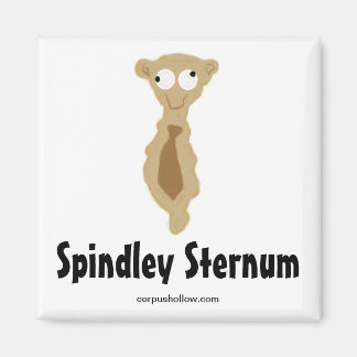 Íman Spindley Sternum