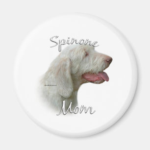 Íman Spinone Italiano Mãe 2