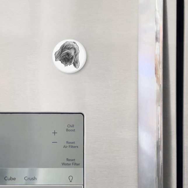 Íman Spinone Kitchen Ease (In Situ (Fridge))