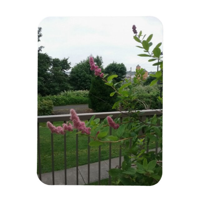 Íman Spirea (Vertical)