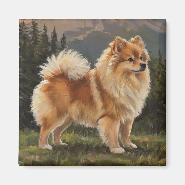 Íman Spitz alemão (Frente)