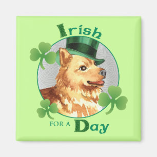 Íman Spitz finlandês do dia de St Patrick