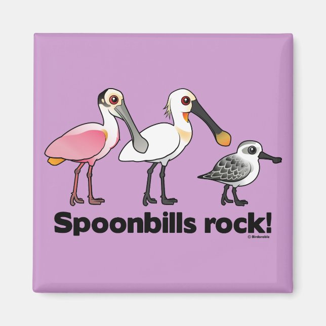 Íman "Spoonbill Rock"! (Frente)