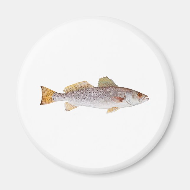 Íman Spotted Seatrout (Frente)