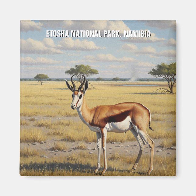 Íman Springbok Parque Nacional Etosha Namíbia Viagem (Frente)
