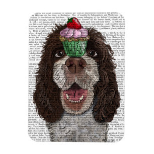Íman Springer Spaniel com Cupcake
